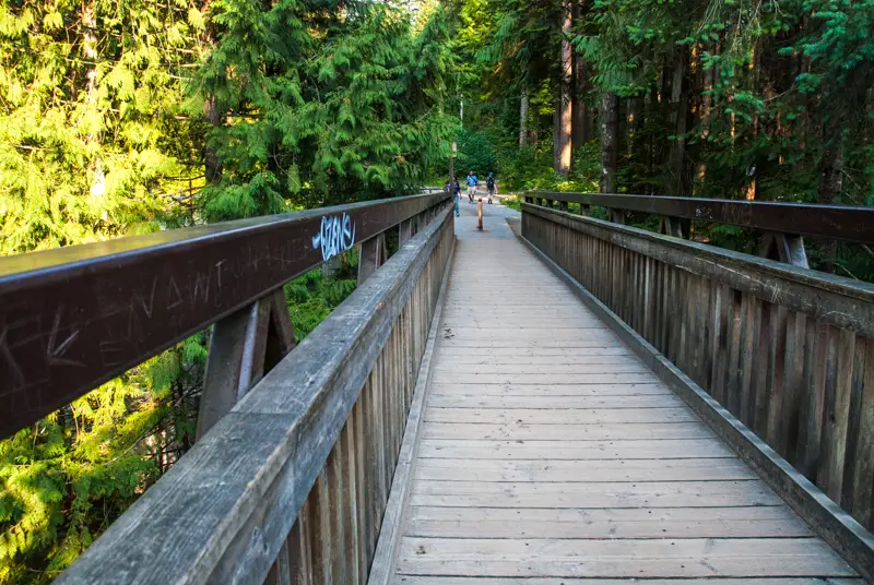 Old Pipe Bridge in Lynn Valley