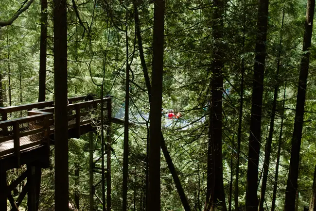 Suspension Bridge Suspension Bridge