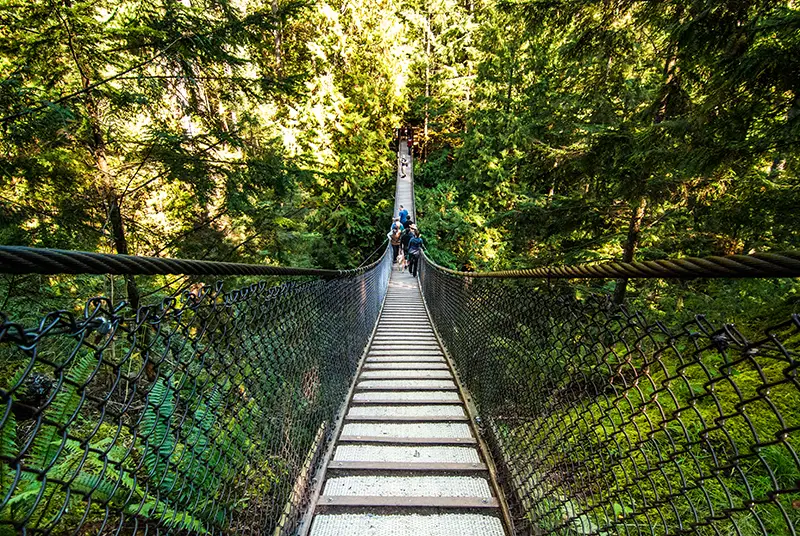 lynn canyon suspension bridge